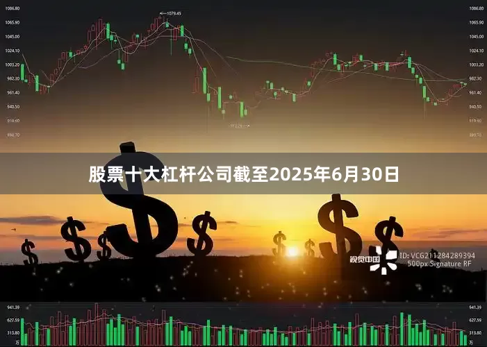 股票十大杠杆公司截至2025年6月30日