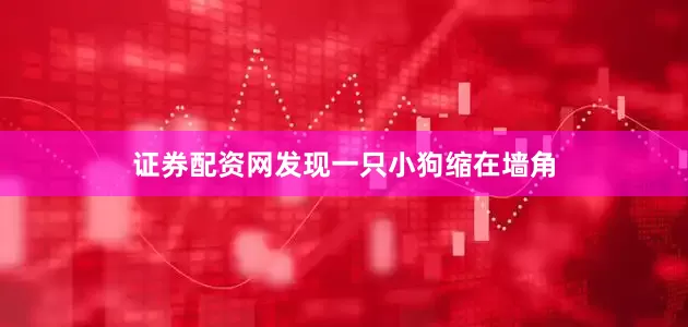 证券配资网发现一只小狗缩在墙角