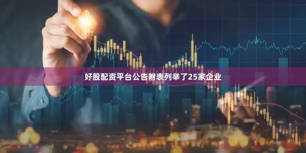 好股配资平台公告附表列举了25家企业