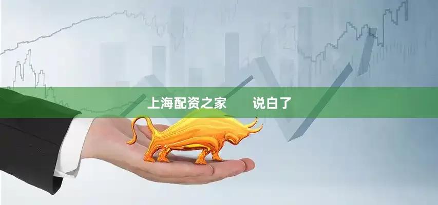 上海配资之家       说白了